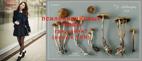 ешки Алексеевка