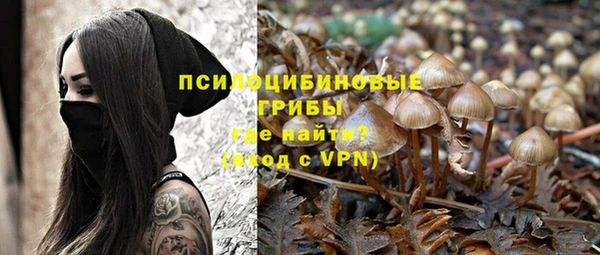 героин Алзамай