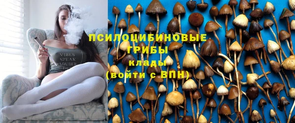 ешки Алексеевка