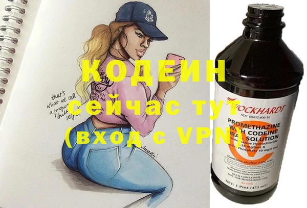 молекула духа Алексин