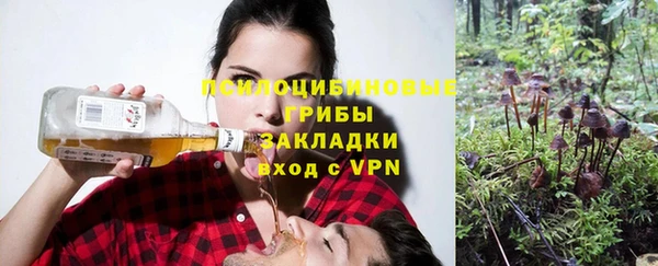ешки Алексеевка