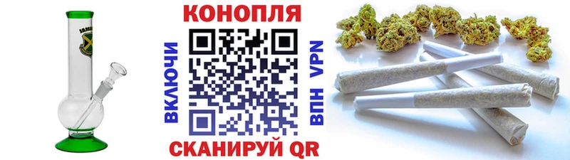 Бошки марихуана OG Kush  Апатиты 